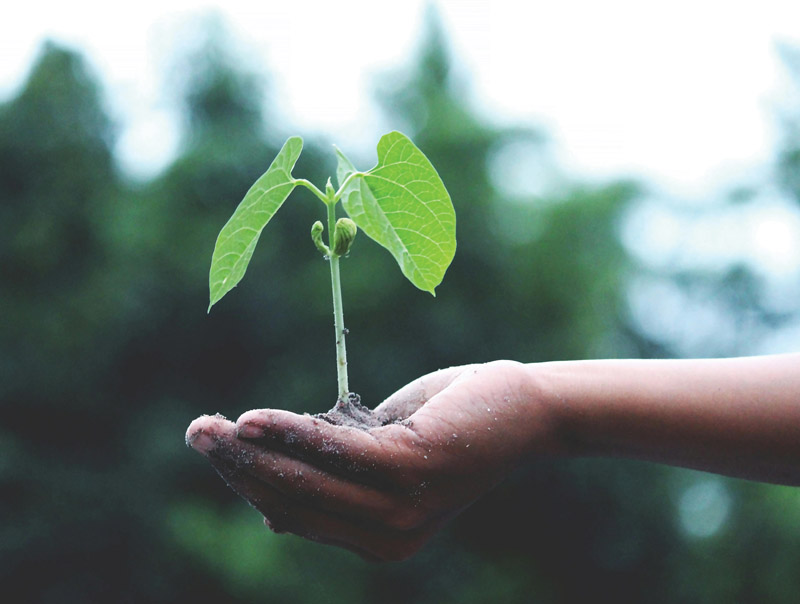 Note Card - Growing Strong | Markful