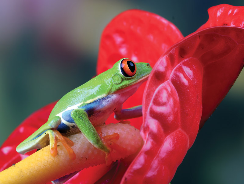 Note Card - In Native Color | Markful