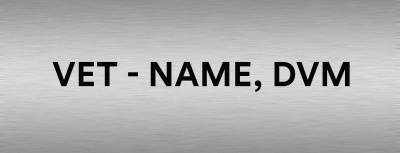 Picture of Thrive Rectangle Metallic Name Badges